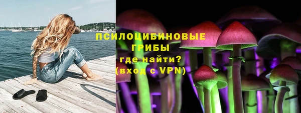 таблы Белокуриха