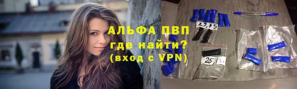 гидра Богородицк