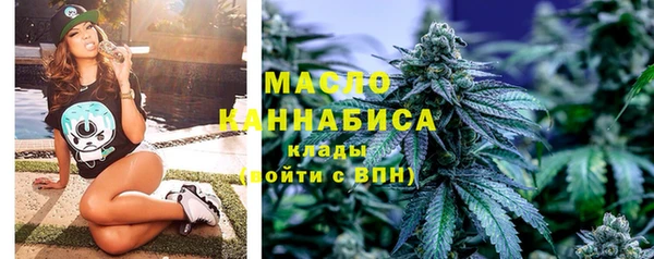 гидра Богородицк