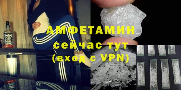 гидра Богородицк