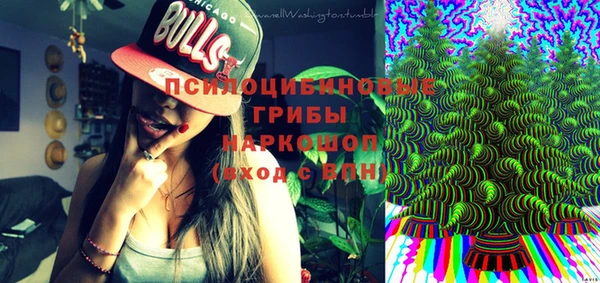 ПСИЛОЦИБИНОВЫЕ ГРИБЫ Пересвет
