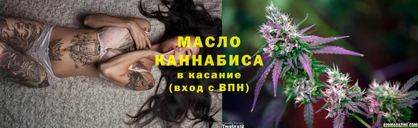 гидра Богородицк